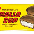 Boyer Mallo Cup Changemaker