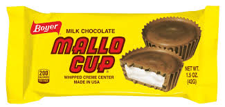 Boyer Mallo Cup Changemaker